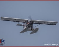 TSR Watermark - 0262